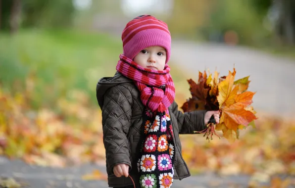 Осень, листья, дети, детство, ребенок, размытие, мальчик, autumn