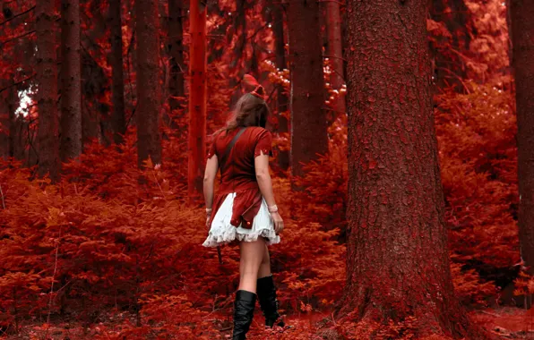 Девушка, красная, в красном, шапочка, красный лес