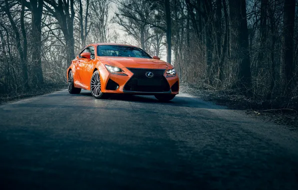 Lexus, road, orange, rcf