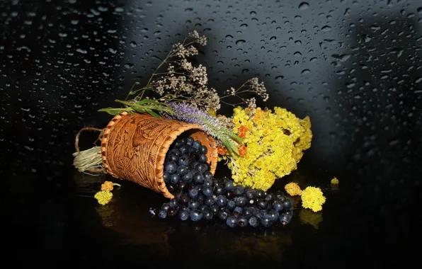Картинка черника, ягода, сухоцвет, НАТЮРМОРТ, фото Елена Аникина