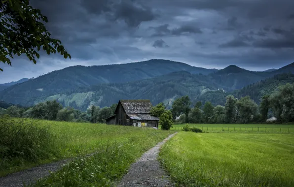 Картинка дорога, поле, дома