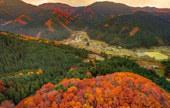 Картинка осень, горы, природа, Япония, Окаяма