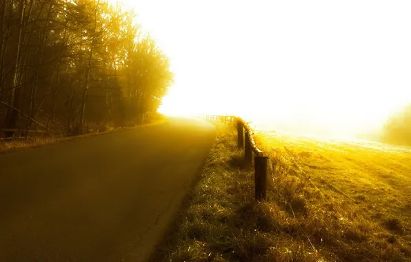 Картинка дорога, поле, свет, туман, забор, цвет