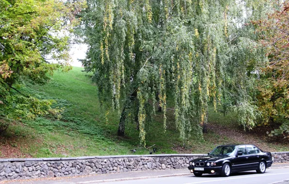 BMW, 5 series, E34, 525i
