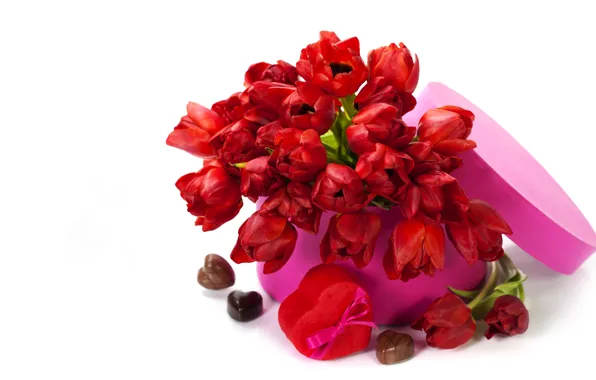 Любовь, цветы, тюльпаны, valentine's day, красные тюльпаны