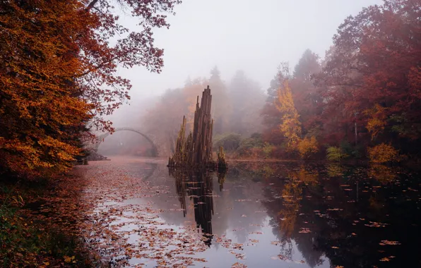 Осень, мост, река