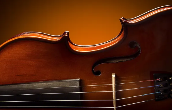 Картинка макро, скрипка, блеск, лак, Royal Violin