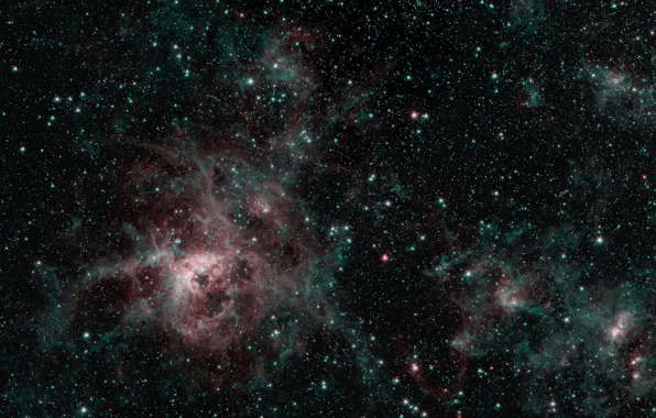 Звёзды, скопления, эмиссионная туманность, Тарантул, NGC 2070, БМО, LMC, Большое Магелланово Облако