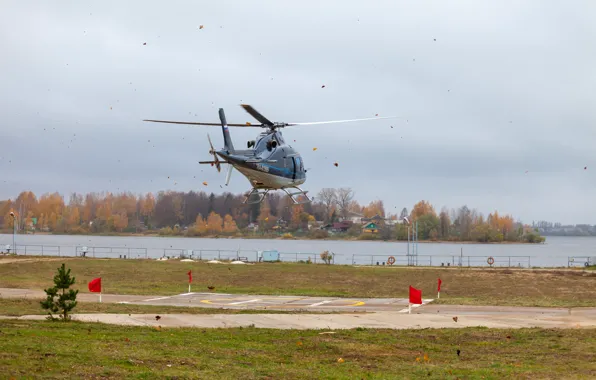 Вертолёт, посадка, helicopter, AgustaWestland, висение, AW119, AgustaWestland AW119 Koala