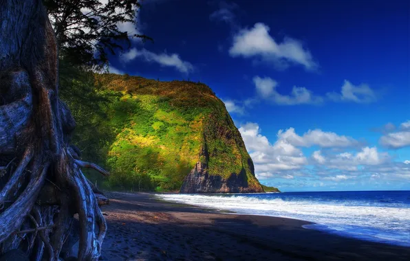 Картинка песок, море, небо, облака, дерево, гора, гаваи, hawaii