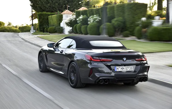 BMW, кабриолет, 2019, BMW M8, складной верх, M8, F91, M8 Competition Convertible