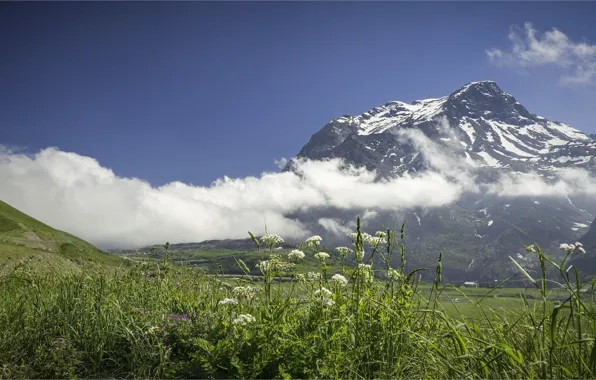 Картинка облака, горы, долина