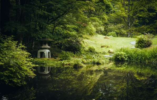 Картинка grass, trees, stone, reflection, pond