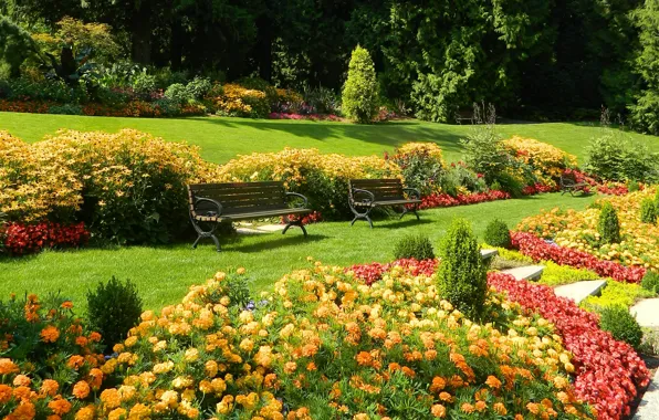 Картинка цветы, парк, газон, Природа, растения, весна, сад, скамейки