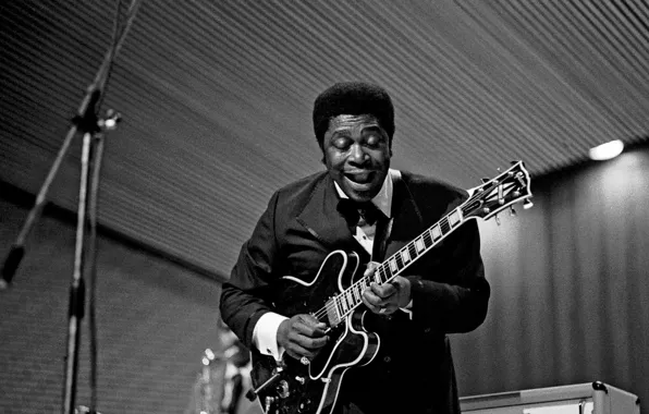 Guitar, Blues, the game, Lucille, B.B. King