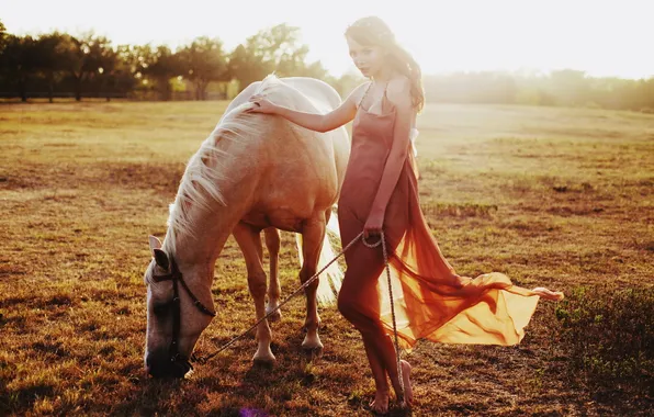 Картинка девушка, свет, конь
