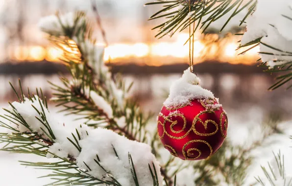 Картинка зима, снег, елка, шар, ветка, Новый Год, Рождество, christmas