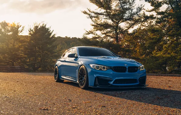 Картинка BMW, Blue, Coupe, Autumn, Sight, F84