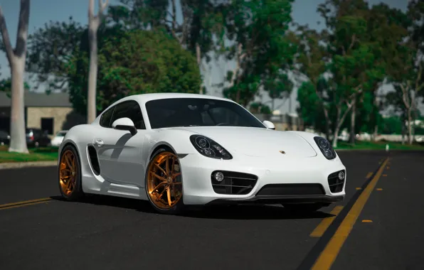 Картинка Porsche, Cayman, BLK, Wheels