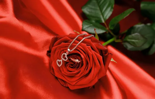 Картинка цветок, любовь, романтика, сердце, роза, шелк, кольцо, ткань