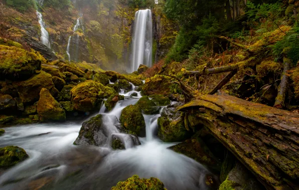 Лес, ручей, камни, речка, водопады, брёвна, Gifford Pinchot National Forest, Washington State