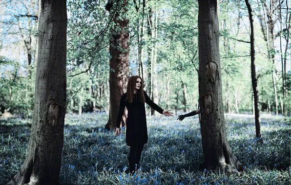 Лес, девушка, дерево, рука, Amy Spanos, The Darkness