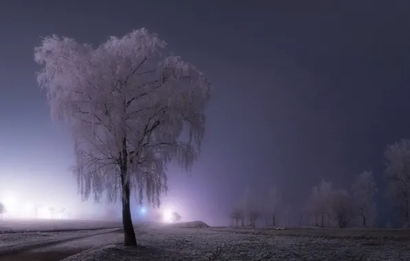 Картинка зима, небо, снег, деревья, туман, дороги