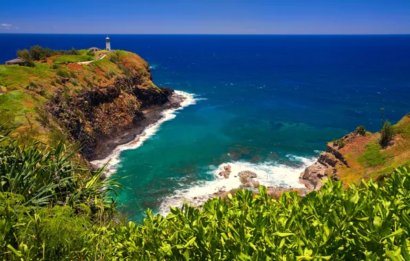 Картинка море, небо, трава, маяк, горизонт, hawaii, мыс, растения_