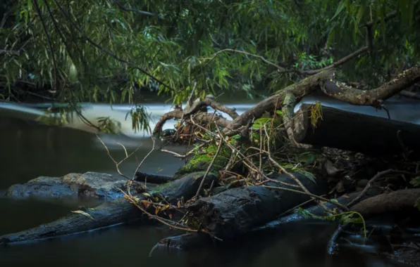 Вода, Река, коряга, пороги
