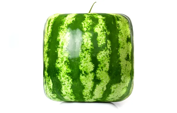Рендеринг, square, watermelon, cube, квадратный арбуз