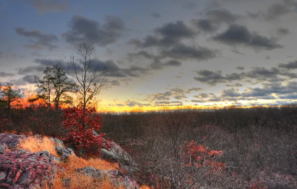 Картинка осень, небо, листья, облака, закат, камни, дерево, скалы
