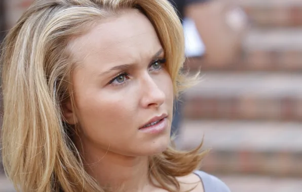 Актриса, Hayden Panettiere, блондинка