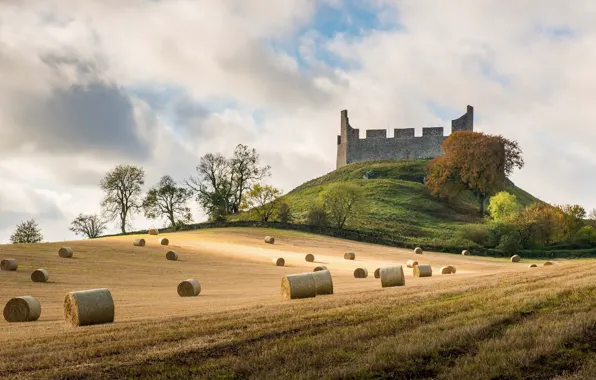 Картинка поле, сено, Scottish Borders, Hume Castle