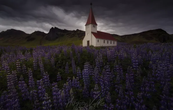 Облака, цветы, горы, тучи, церковь, Исландия, люпины, хмурое небо