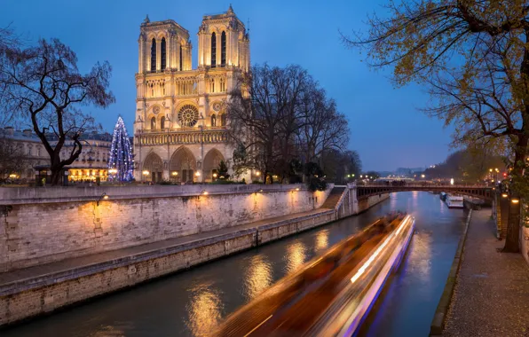 Картинка Франция, Париж, Деревья, Река, Paris, Собор Парижской Богоматери, France, Seine River