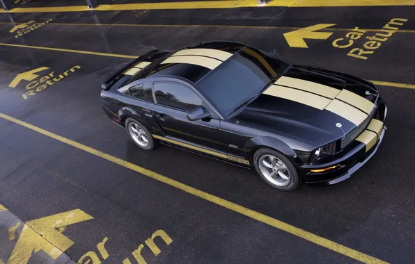 Mustang, Shelby, GT500