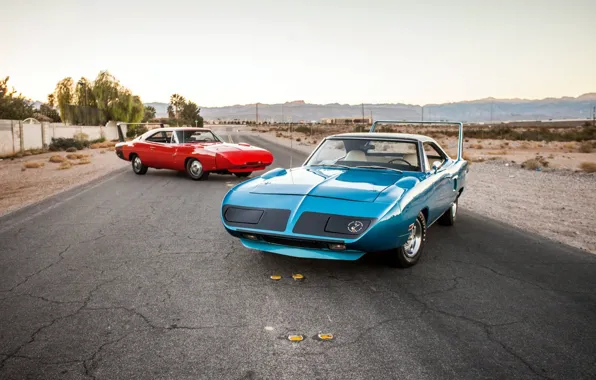 Картинка 1970, Nascar, Dodge Daytona, Plymouth Superbird