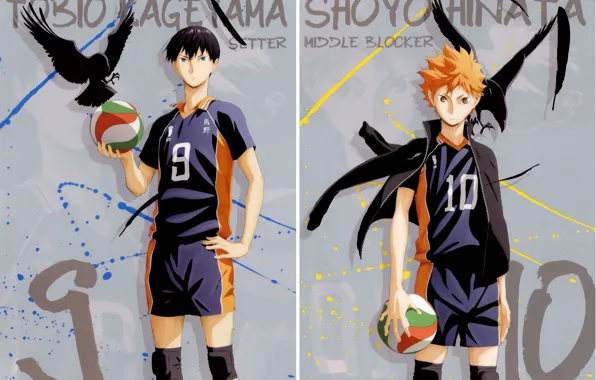 Мяч, перья, рыжий, вороны, парни, спортивная форма, Haikyuu!!, Волейбол!