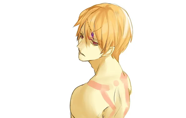Парень, Гильгамеш, Fate / Grand Order