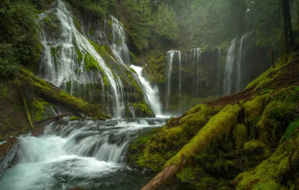 Картинка лес, водопад, мох, дымка, Creek Falls