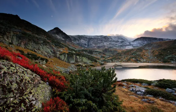 Картинка осень, пейзаж, горы, природа, озеро, растительность, ель, Болгария