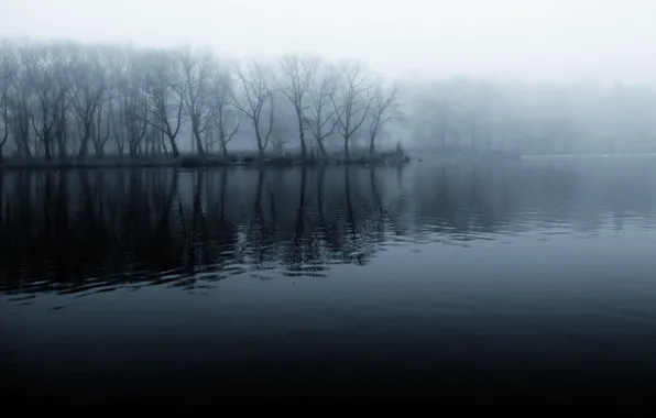 Картинка лес, туман, река, берег, чёрно-белое, утро, прохлада