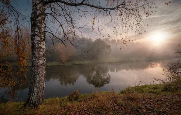 Картинка осень, солнце, лучи, пейзаж, природа, туман, река, дерево