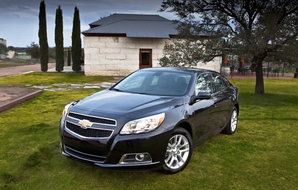 Картинка черный, Chevrolet, автомобиль, Malibu