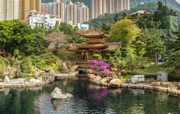 Пруд, парк, камни, здания, дома, Гонконг, Китай, пагода