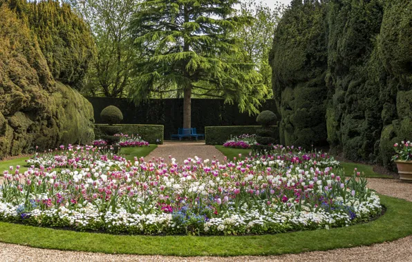Картинка цветы, фото, сад, Великобритания, Ascott House Garden