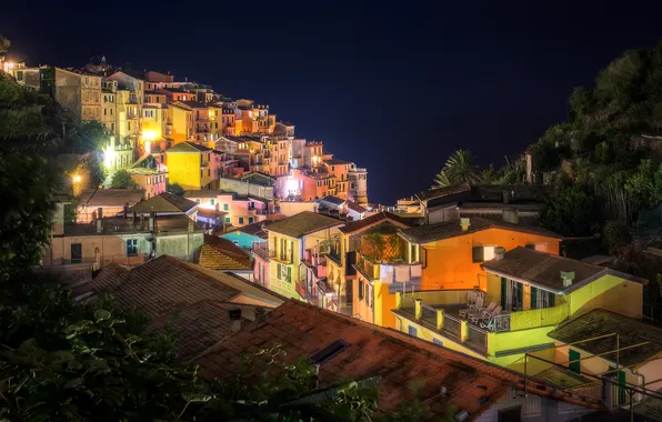 Картинка ночь, огни, дома, крыши, Италия, Manarola