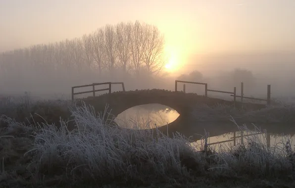 Картинка мост, туман, утро