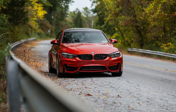 Картинка BMW, Autumn, Road, RED, Forest, F80