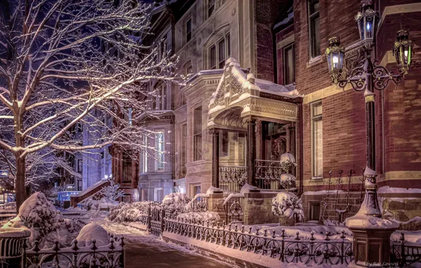 Зима, снег, деревья, дом, здание, Чикаго, фонарь, Иллинойс